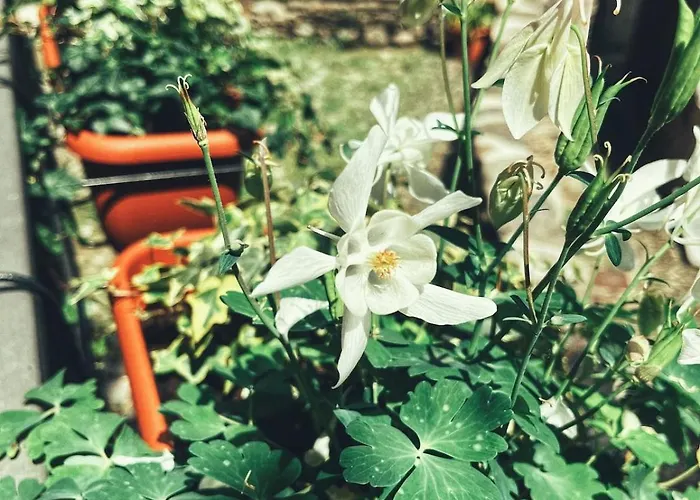 דירה Casa Nel Borgo *