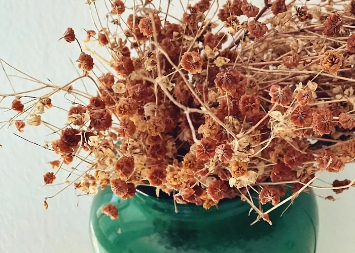 Casa Nel Borgo דירה דומאסו