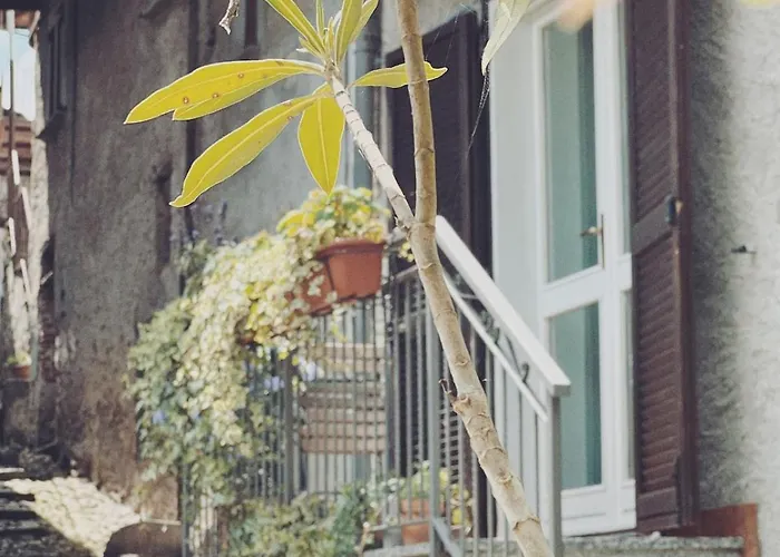 Casa Nel Borgo * דומאסו