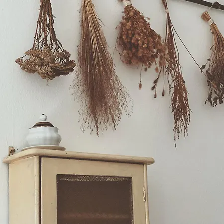 Casa Nel Borgo Daire Domaso