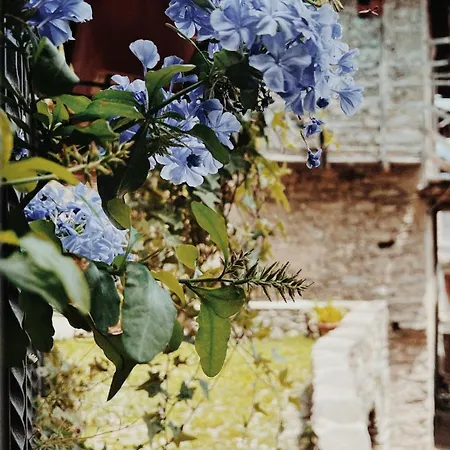 Casa Nel Borgo Daire