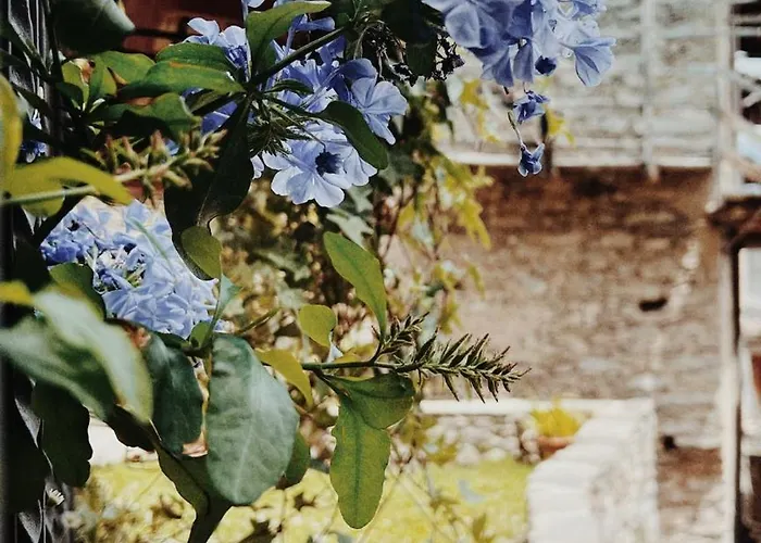 Casa Nel Borgo Lägenhet