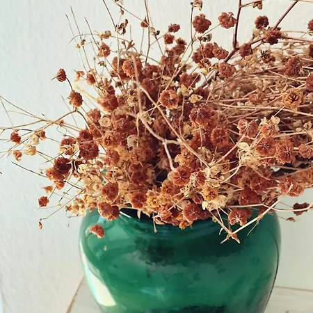 Casa Nel Borgo Appartamento Domaso