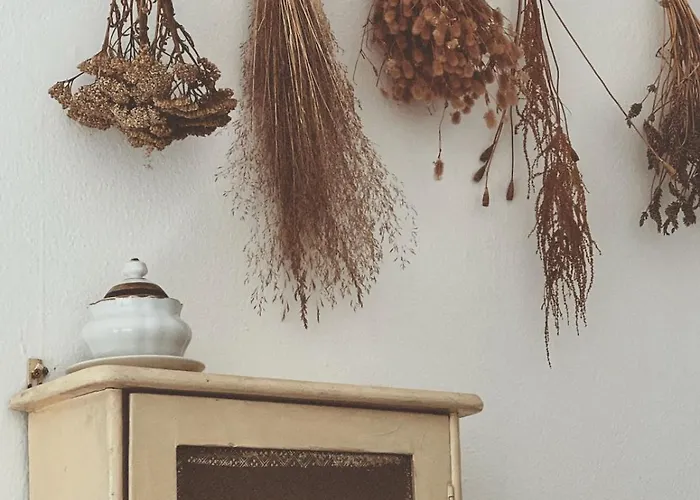 Casa Nel Borgo Appartement Domaso